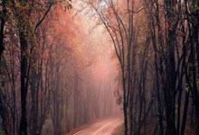 宁波海宁负于实力强队，望提升战绩