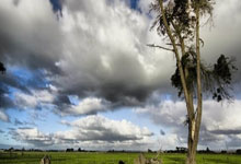 AC米兰连败难以止损，主帅迎来艰难时刻