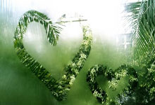 江苏男篮主场作战，精彩比赛尽在眼前