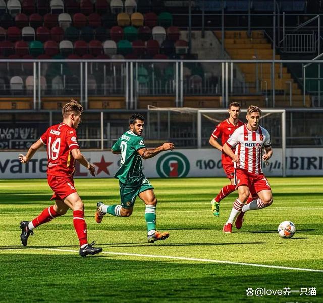 罗马尼亚队成功守住主场优势